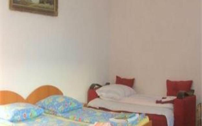 Guesthouse Casa Baciu