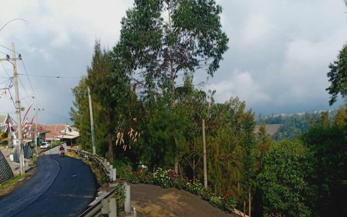 Villa RICKY  2 Gunung Bromo 