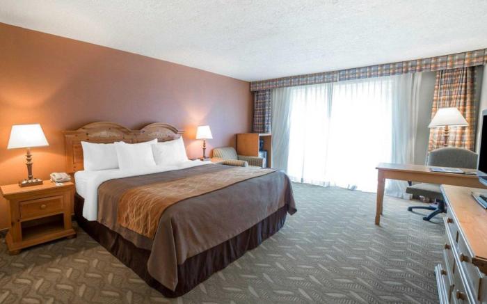 Comfort Inn Downtown
