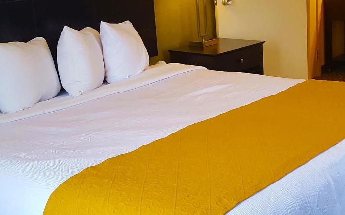 Best Western Watertown Fort Drum