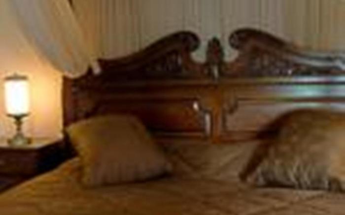 Riad El Yacout