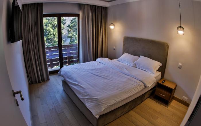 Elexus Apartments Sinaia