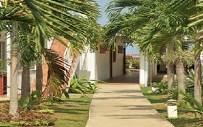 Negril Palms