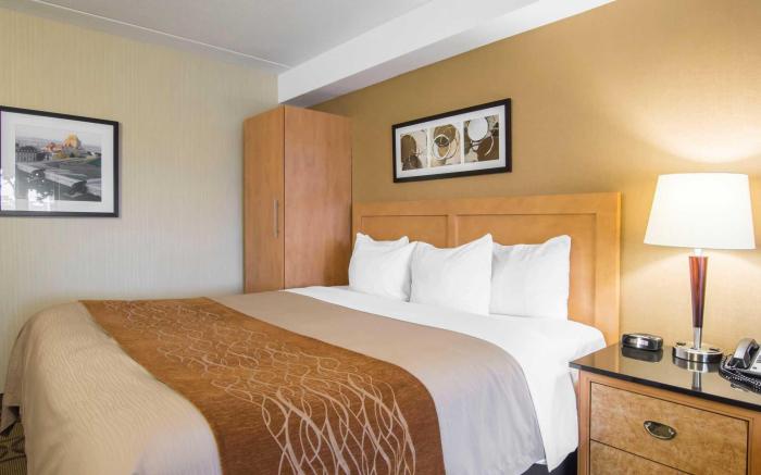 Comfort Inn Airport East