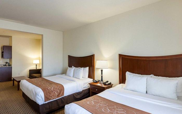 Comfort Suites San Antonio North - Stone Oak