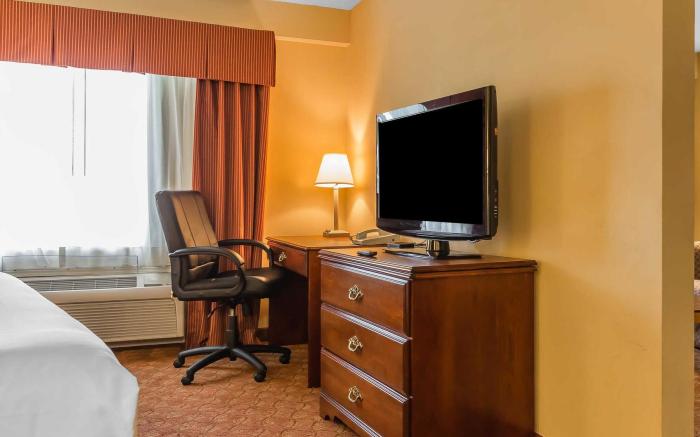 Sleep Inn & Suites Auburn Campus Area I-85