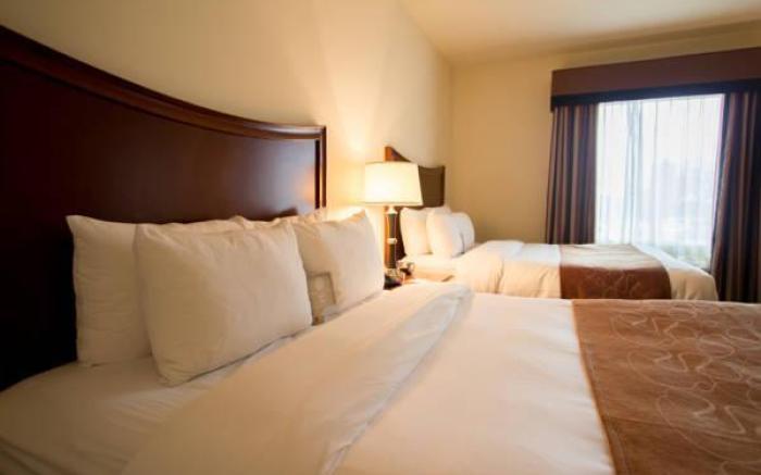 Comfort Suites San Antonio North - Stone Oak