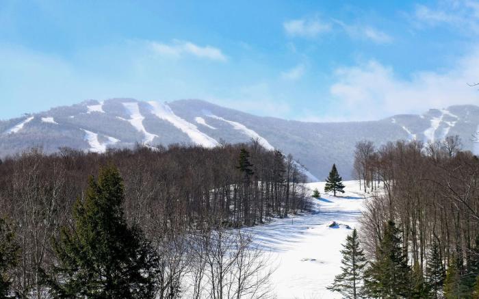 Killington Mountain Lodge, Tapestry