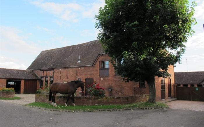Bluebell Farm