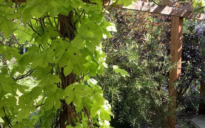 Woodpaddock B&B