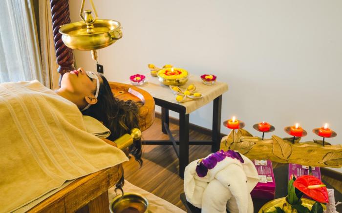 Trivik Hotels & Resort, Chikmagalur