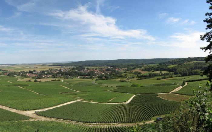 Domaine des Grattières