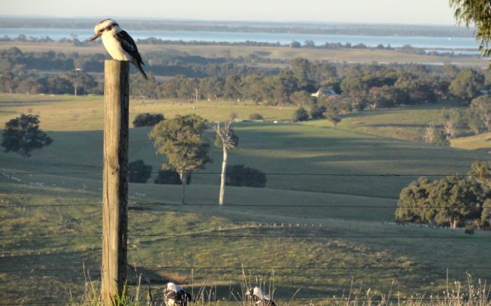 Down to Earth Farm Retreat