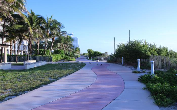 Beach Front Studio