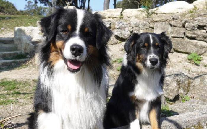 La Ferme les Eybrachas