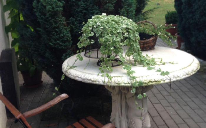 Ferienhäusl am Malerweg