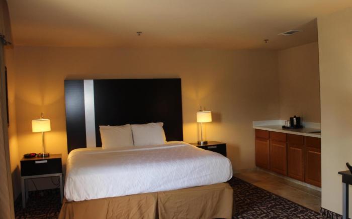 Best Western PLUS The Woodlands