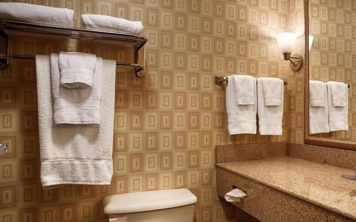 Best Western Plus Waynesboro Inn & Suites Conference Center