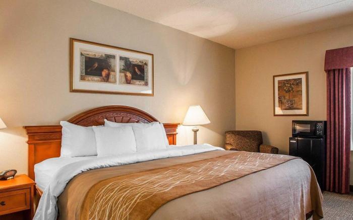 Comfort Inn Festus-St. Louis South