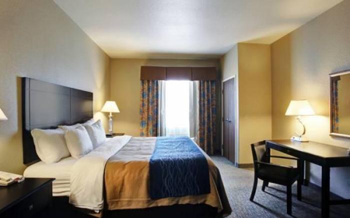 Spark by Hilton Selma