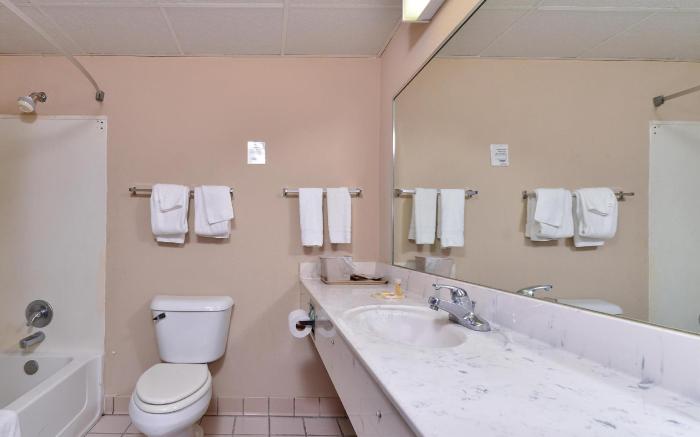 Econo Lodge Inn & Suites