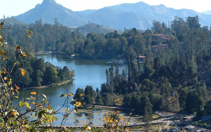 Hill Heaven Homestay