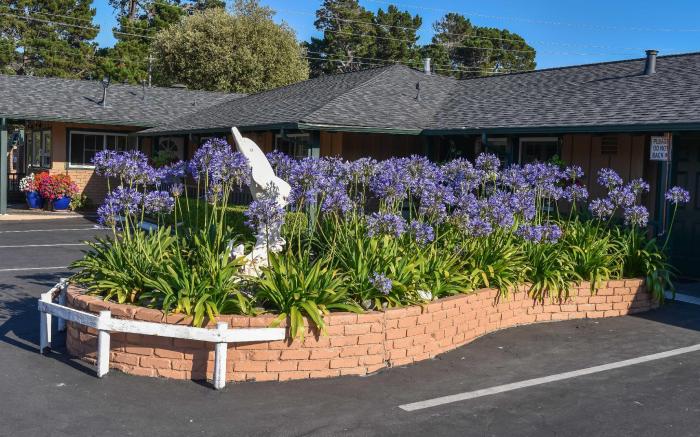 Padre Oaks Inn