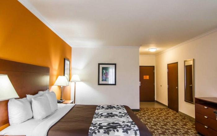 Sleep Inn & Suites I-20