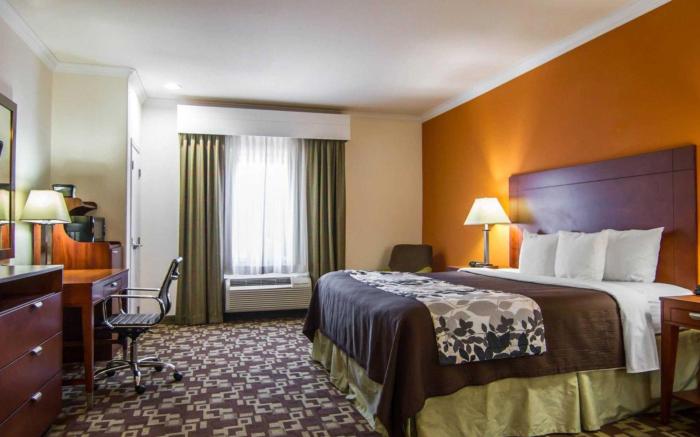 Sleep Inn & Suites I-20