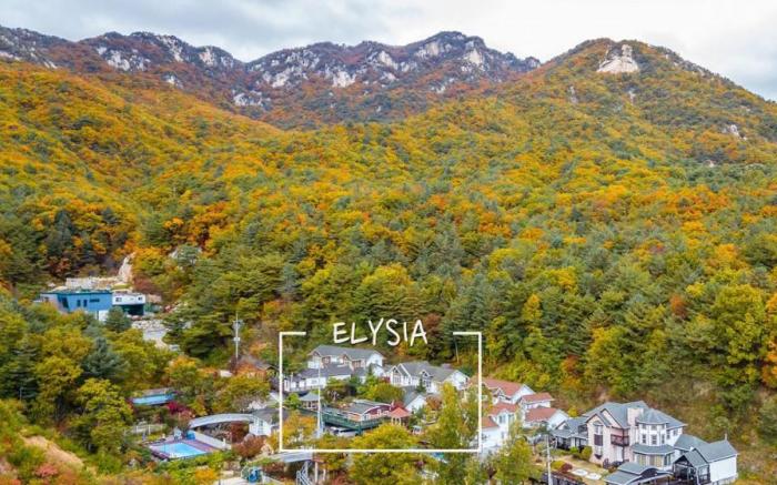 Elsia Pension