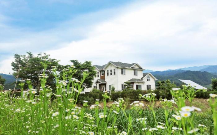 Vally Pension