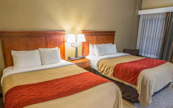 Comfort Inn Opelika - Auburn