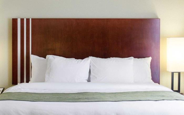 Comfort Suites