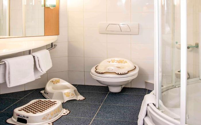 Ibis Poznan Stare Miasto