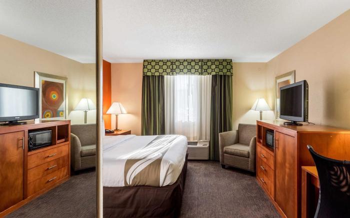 Comfort Inn & Suites Nashville Downtown - Stadium