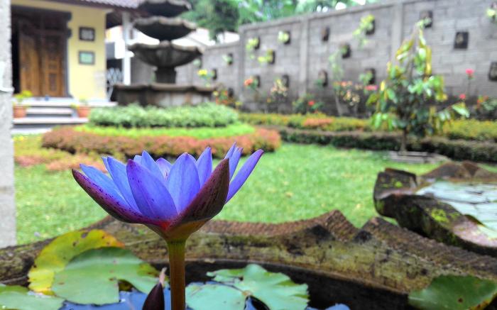 Muka House Ubud