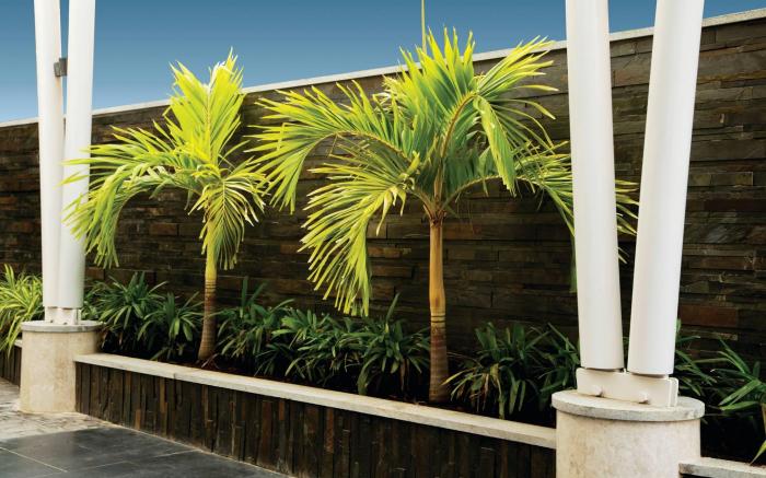 Hotel Urvashi Residency