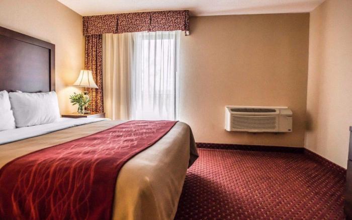 Comfort Inn Pocono Lakes Region