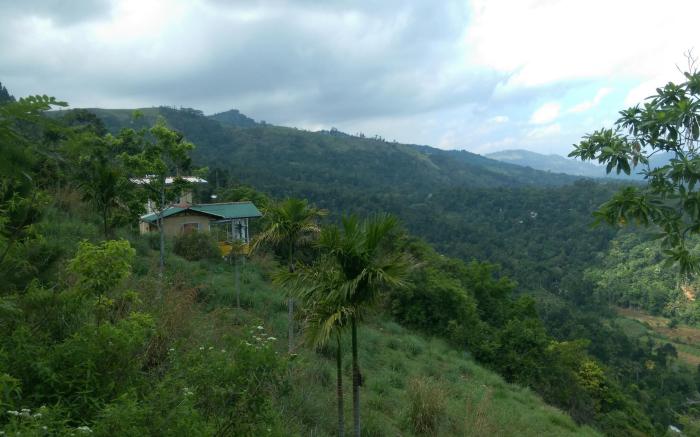 ATT's Eagles Nest
