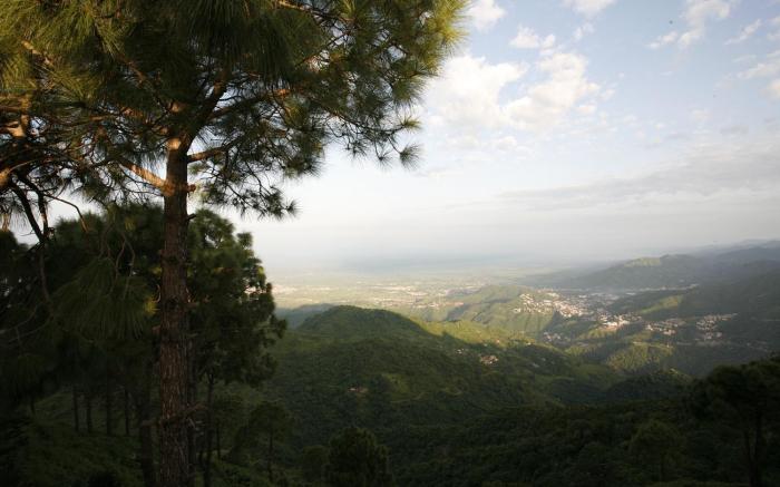 Moksha Himalaya Spa Resort