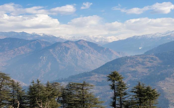 Ishan log huts- A Boutique Homestay-since 1999