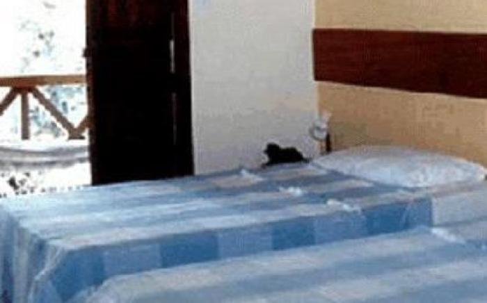 Chaua Porto Hotel