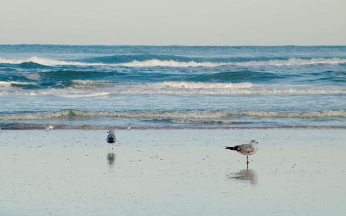 Hampton Inn Daytona Shores-Oceanfront