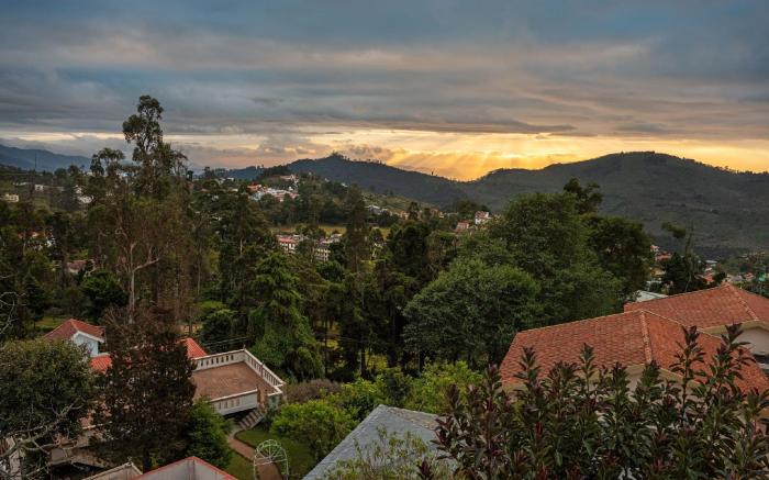 Mango Hill Kodai