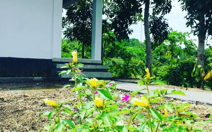 Tommy  Homestay