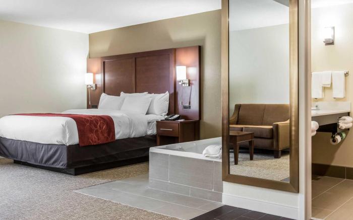 Comfort Inn & Suites Macon West