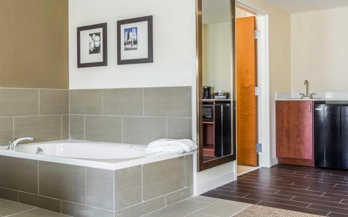 Comfort Inn & Suites Macon West