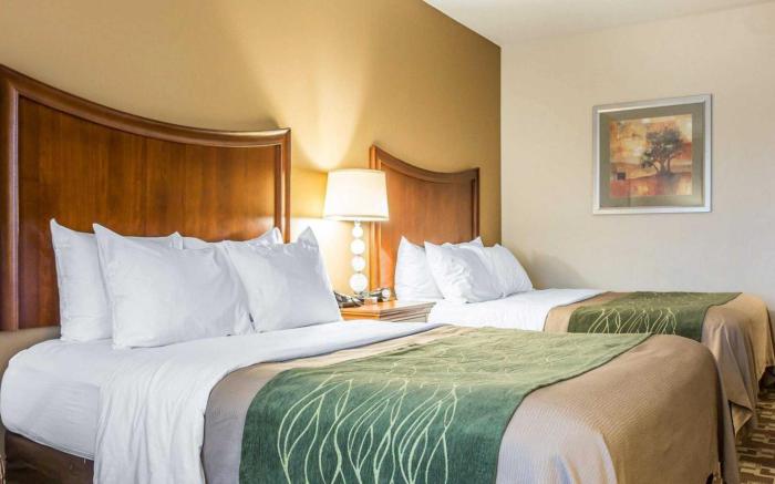 Comfort Inn & Suites Orangeburg