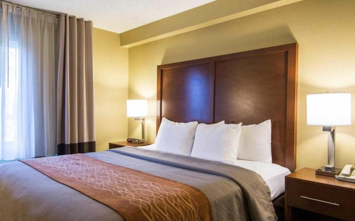 Comfort Inn & Suites Suwanee - Sugarloaf