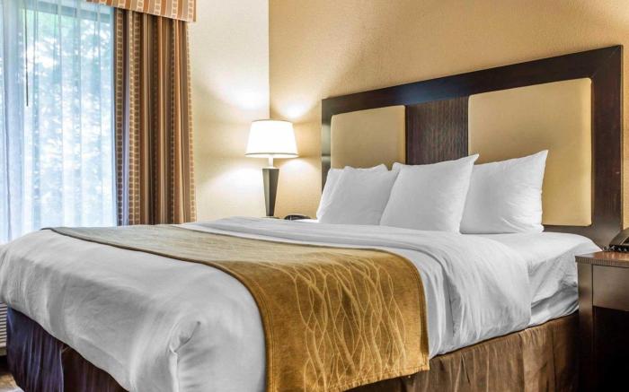 Comfort Suites At Kennesaw State University